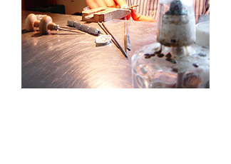 �c���j�N�ʐ^